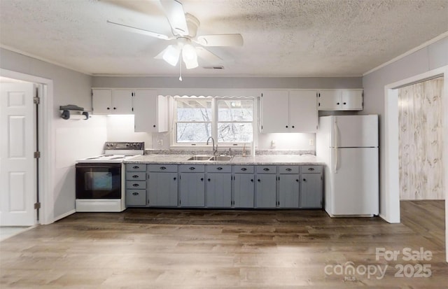 kitchen featuring electric stove, gray cabinets, light countertops, freestanding refrigerator, and a sink