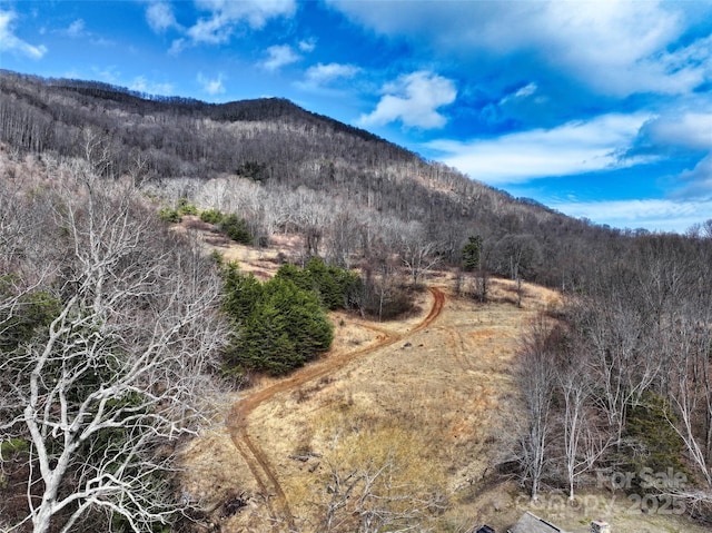 property view of mountains