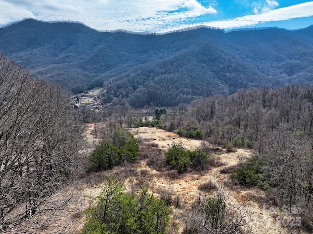 property view of mountains