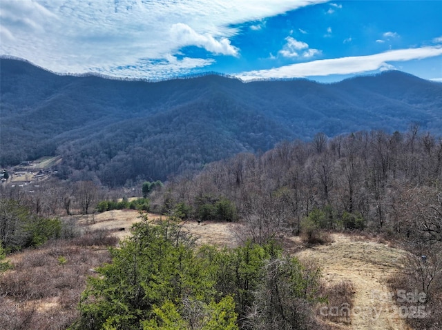 view of mountain feature