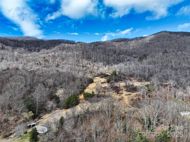 view of mountain feature with a forest view