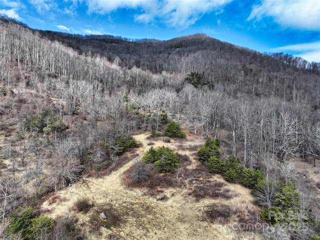 property view of mountains featuring a wooded view