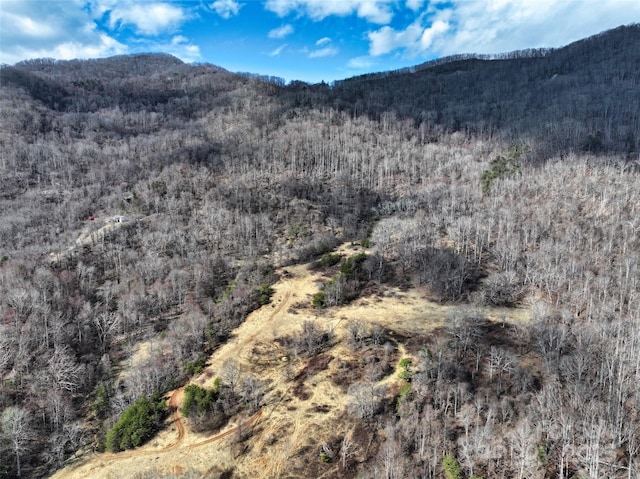 property view of mountains with a wooded view