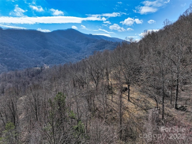 property view of mountains featuring a wooded view