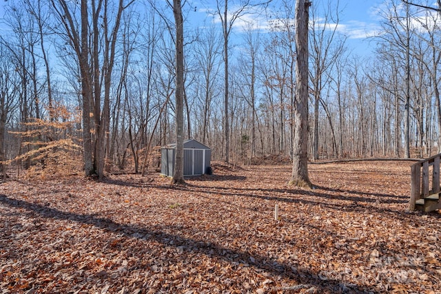 view of yard with a storage unit