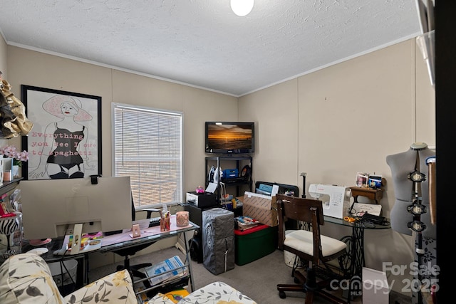 office space featuring crown molding, carpet flooring, and a textured ceiling