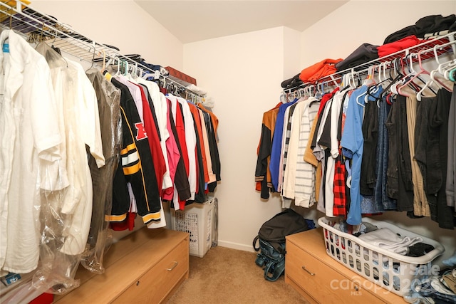 spacious closet with light colored carpet