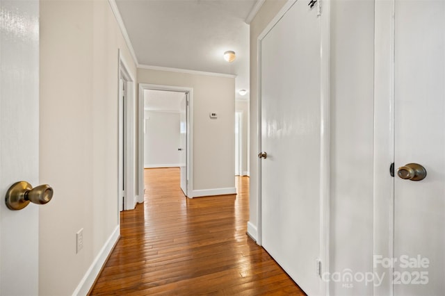 hall featuring wood-type flooring and crown molding