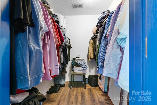 walk in closet featuring wood-type flooring