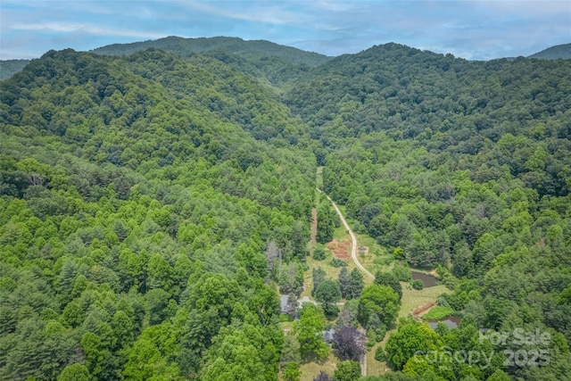 view of mountain feature