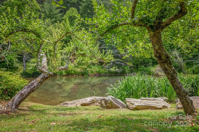 view of nature featuring a water view