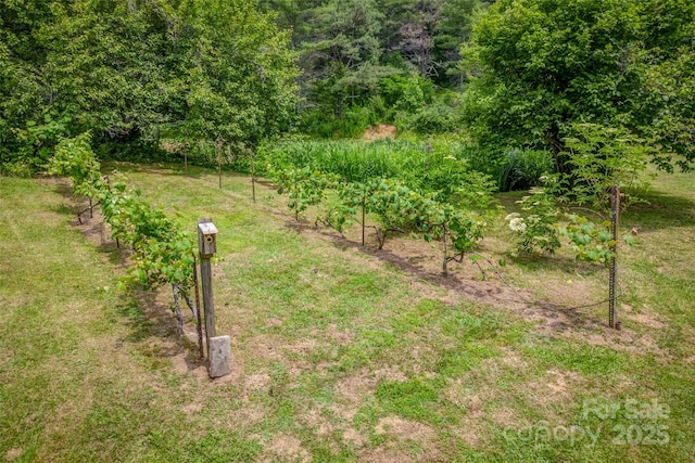 view of yard featuring a rural view