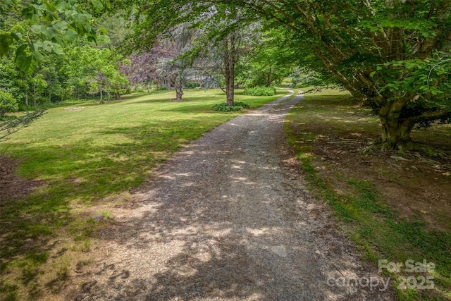 view of property's community featuring a yard