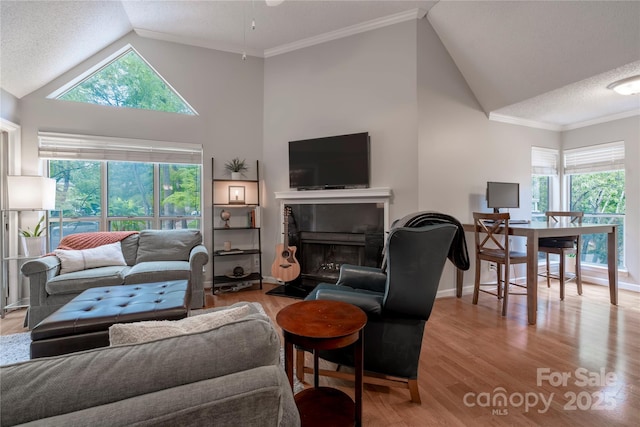 living area with a textured ceiling, a fireplace with raised hearth, wood finished floors, and crown molding