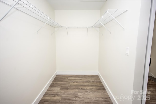 spacious closet featuring hardwood / wood-style floors