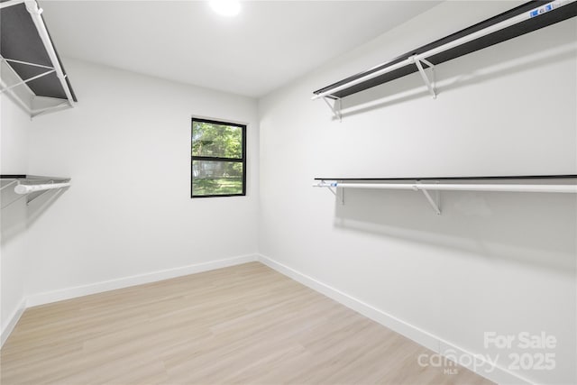 spacious closet with hardwood / wood-style floors