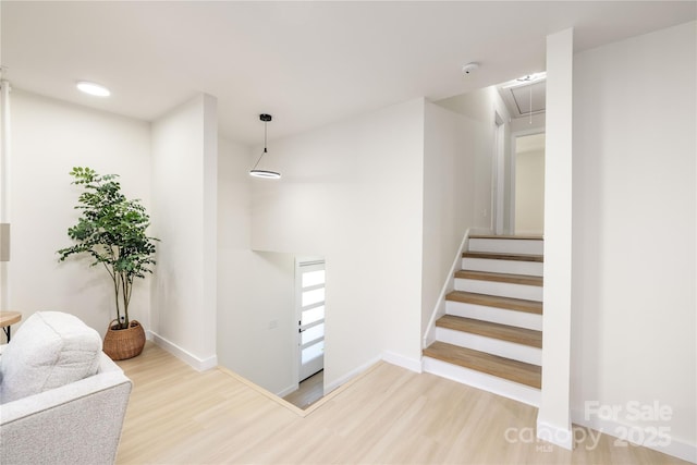 staircase featuring wood-type flooring