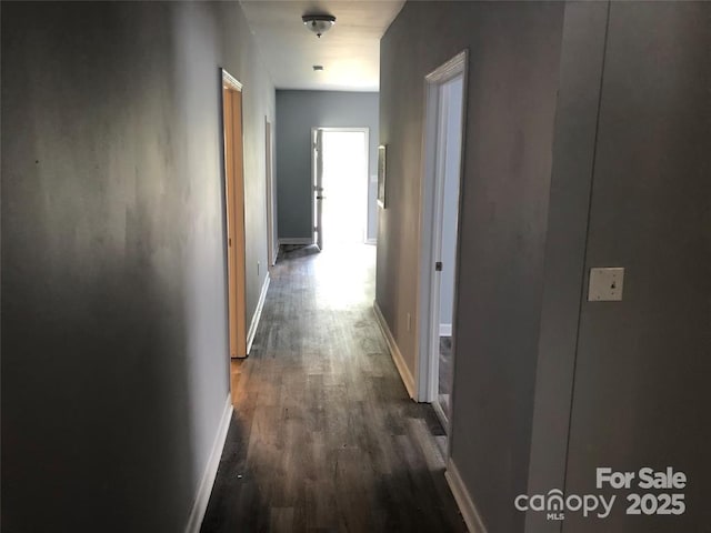 hall with dark hardwood / wood-style flooring