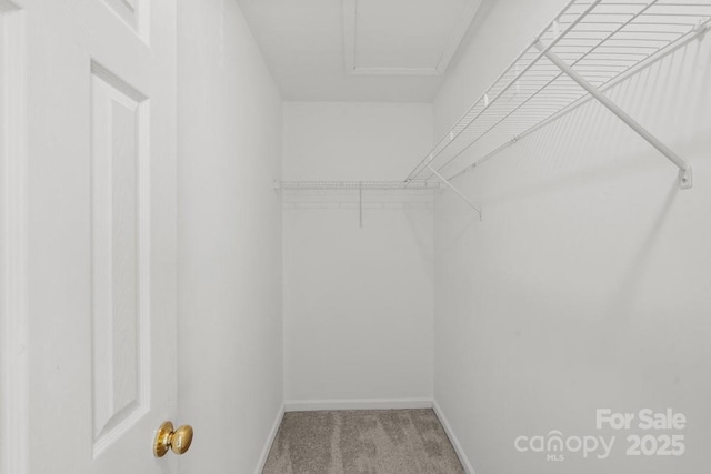 spacious closet with carpet floors