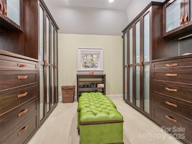 spacious closet with light carpet