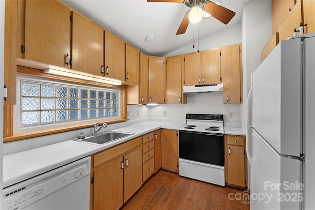 550 Kinross Dr, Flat Rock, NC 28731 - kitchen with lofted ceiling, ceiling fan, wood-type flooring, sink, and white appliances