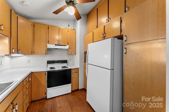550 Kinross Dr, Flat Rock, NC 28731 - kitchen with lofted ceiling, ceiling fan, wood-type flooring, sink, and white appliances