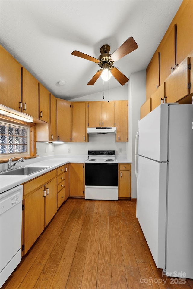 550 Kinross Dr, Flat Rock, NC 28731 - kitchen featuring ceiling fan, sink, light hardwood / wood-style floors, and white appliances