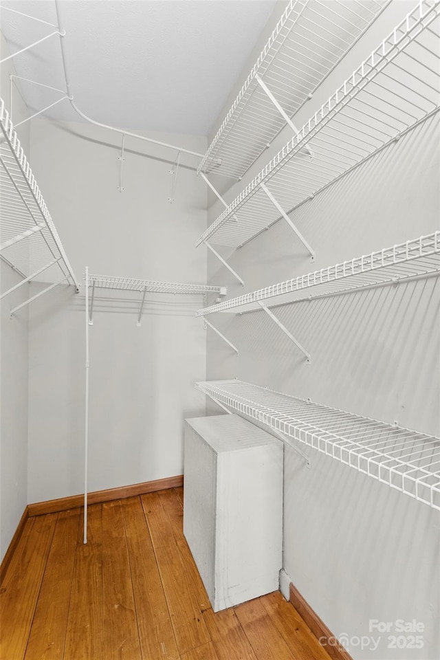 550 Kinross Dr, Flat Rock, NC 28731 - walk in closet featuring hardwood / wood-style floors