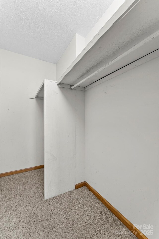 550 Kinross Dr, Flat Rock, NC 28731 - walk in closet with carpet