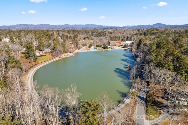550 Kinross Dr, Flat Rock, NC 28731 - birds eye view of property with a water and mountain view