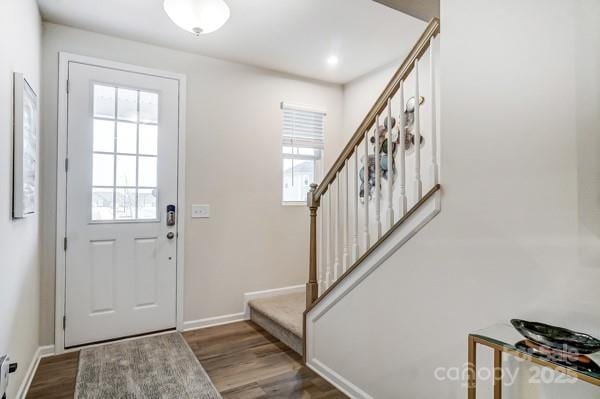 foyer with dark wood-type flooring and plenty of natural light