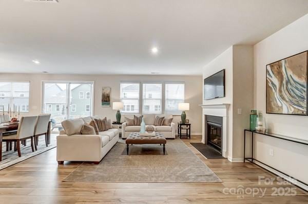 living room featuring light hardwood / wood-style flooring