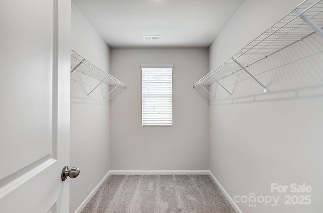 spacious closet featuring carpet flooring