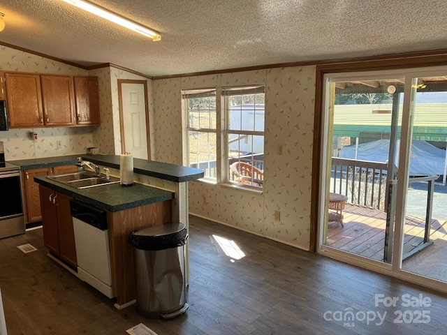 kitchen featuring sink, dark wood-type flooring, dishwasher, an island with sink, and stainless steel electric range oven