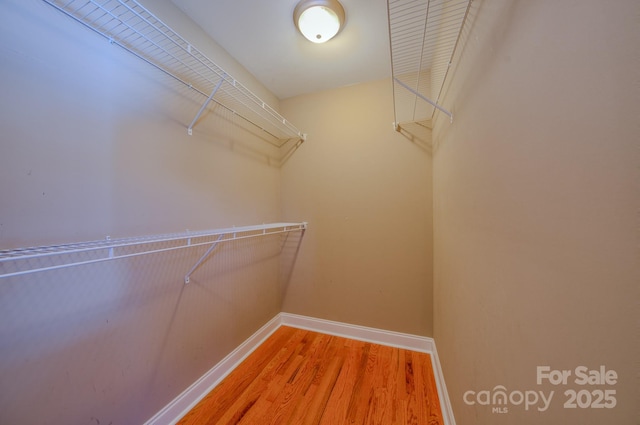 walk in closet featuring hardwood / wood-style flooring