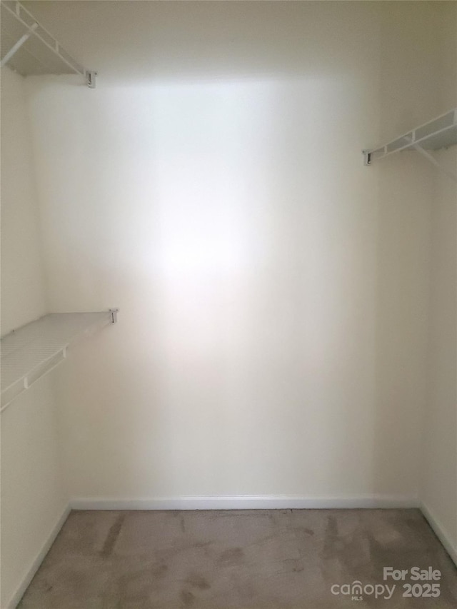 spacious closet featuring carpet