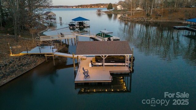 dock area with a water view