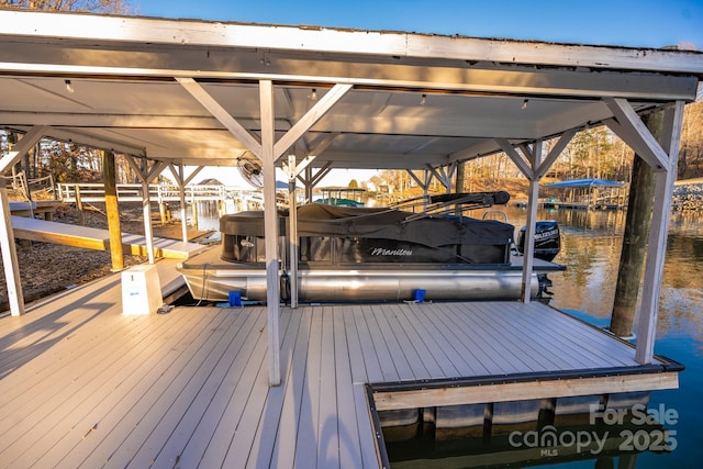 dock area with a water view