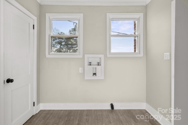 clothes washing area with wood-type flooring, washer hookup, and a wealth of natural light