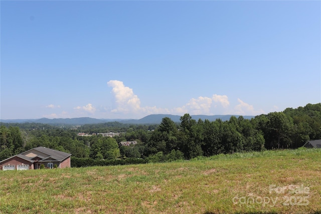 418 Huntington Woods St SE, Lenoir, NC 28645 - photo 43