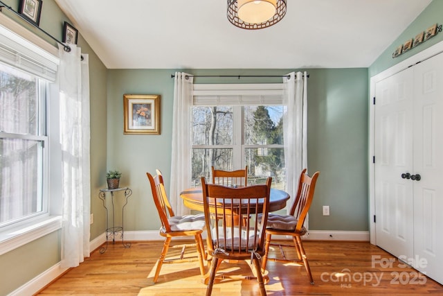 dining room with lofted ceiling and light hardwood / wood-style flooring