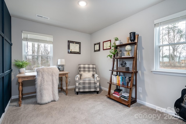 view of carpeted home office