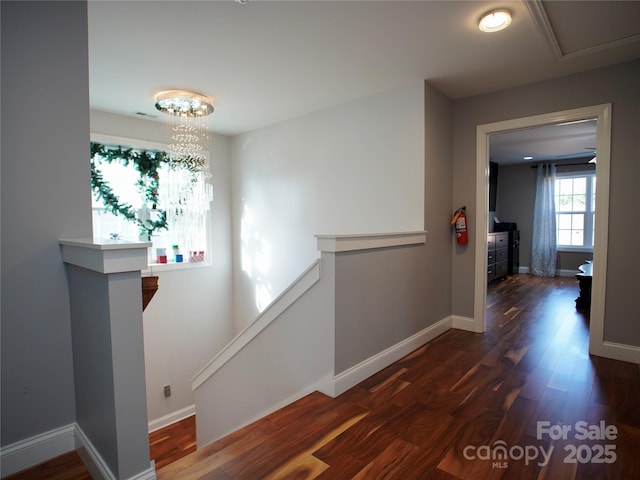 corridor with dark wood-type flooring and a notable chandelier