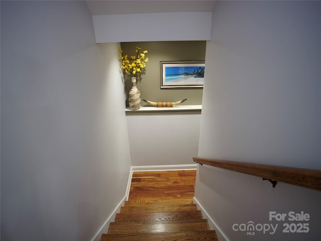 stairs featuring hardwood / wood-style floors