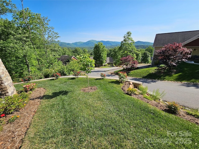 view of yard featuring a mountain view