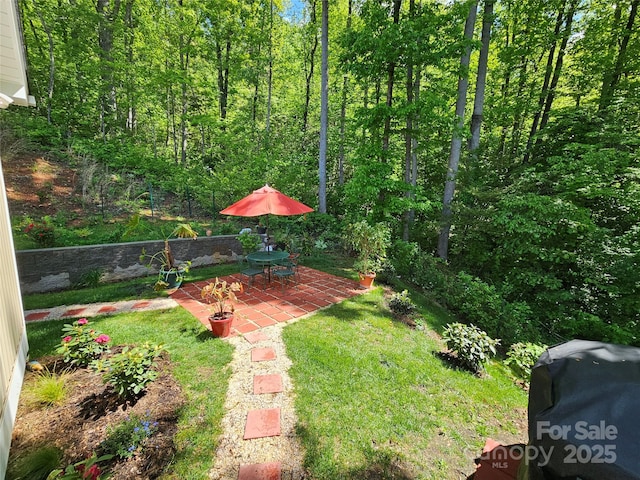 view of yard featuring a patio area