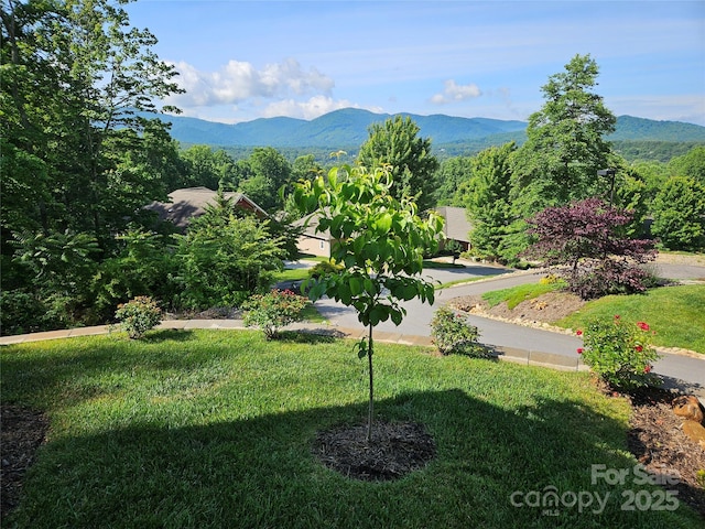 view of community featuring a mountain view and a lawn