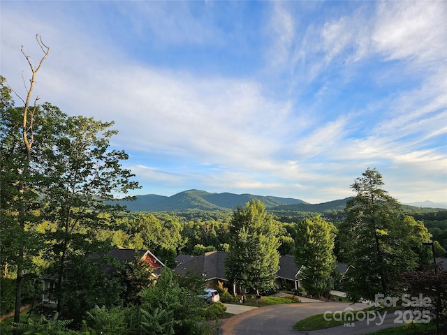 property view of mountains