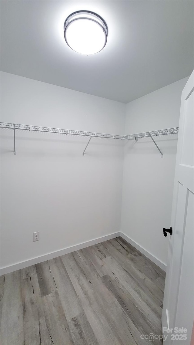 walk in closet with light wood-style floors