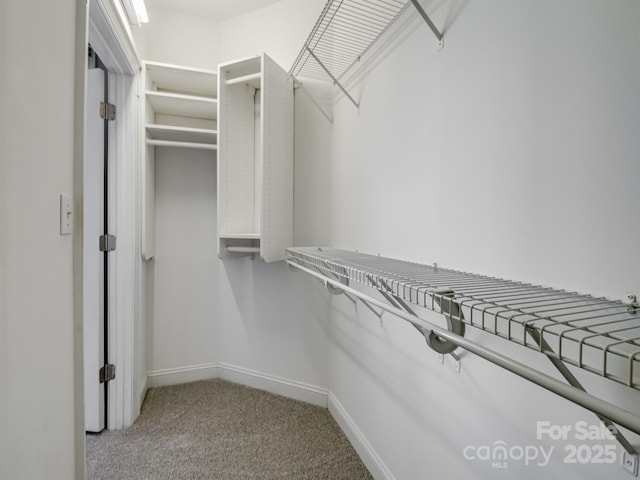 spacious closet featuring light colored carpet